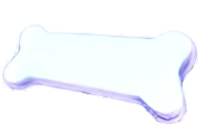 bone